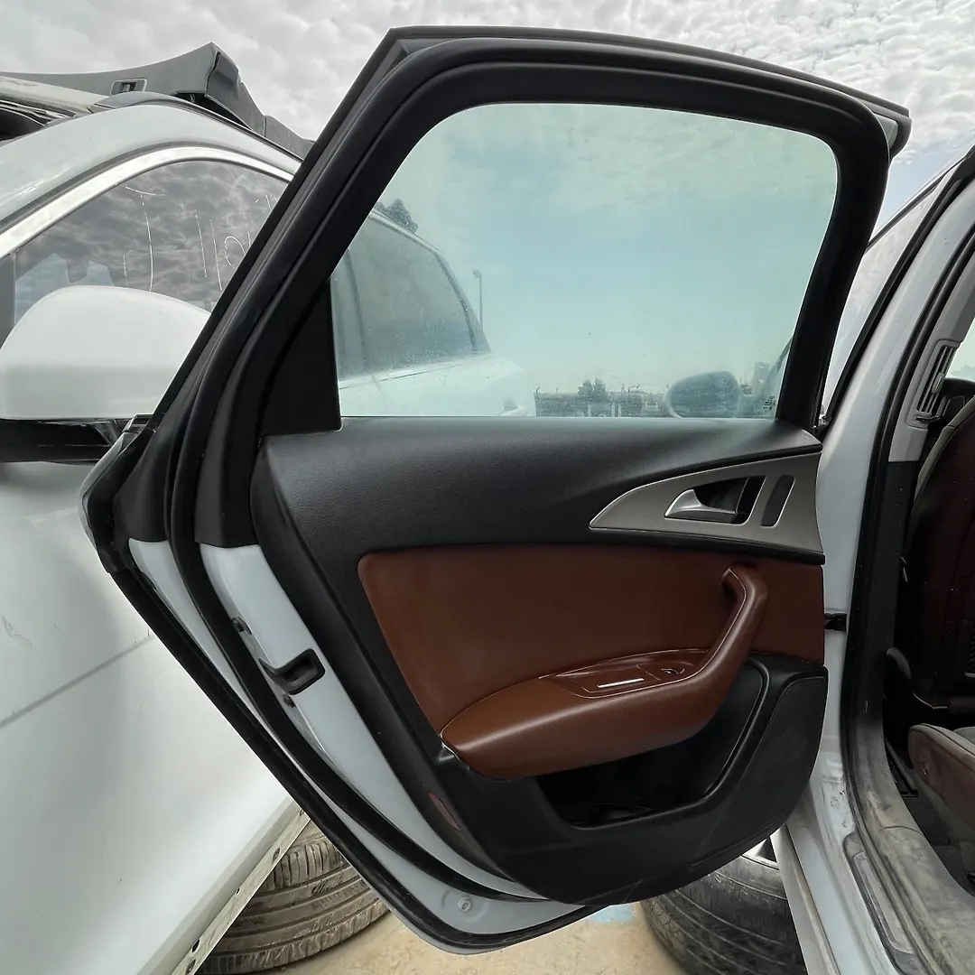Door (LHB) - 2016 Audi A6