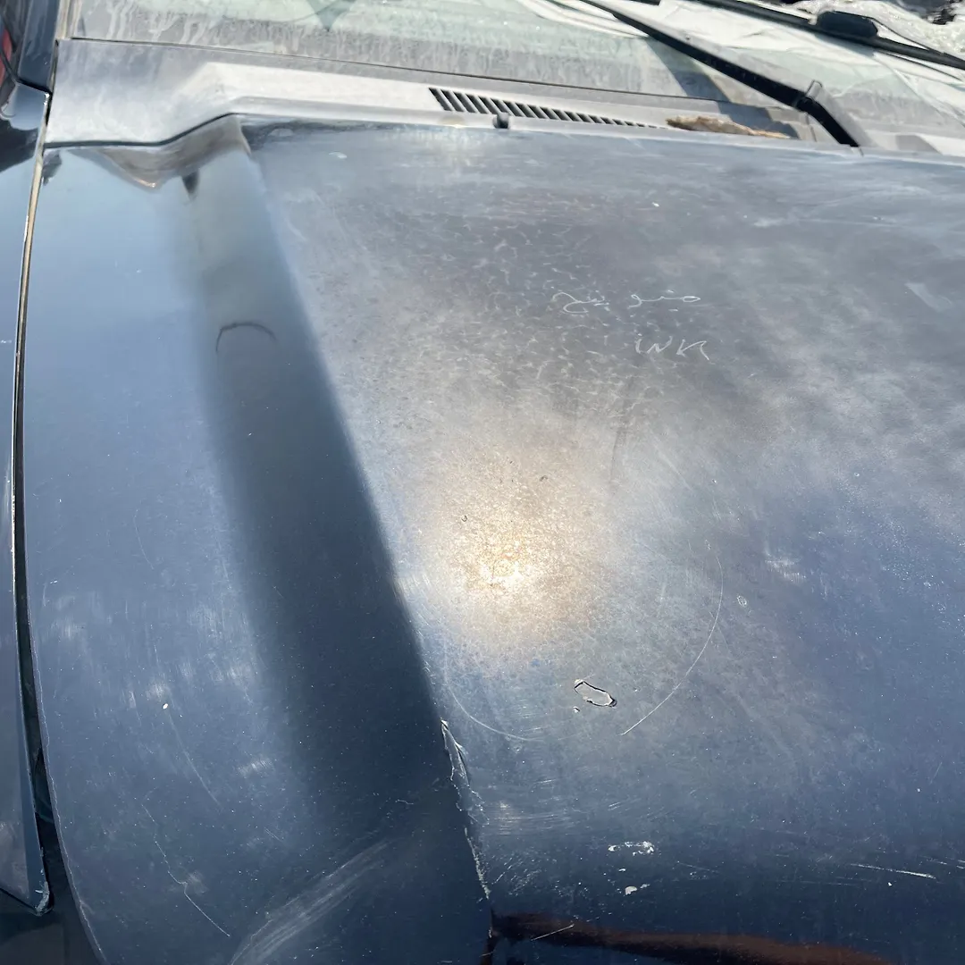 Hood/Bonnet - 2013 Nissan Armada