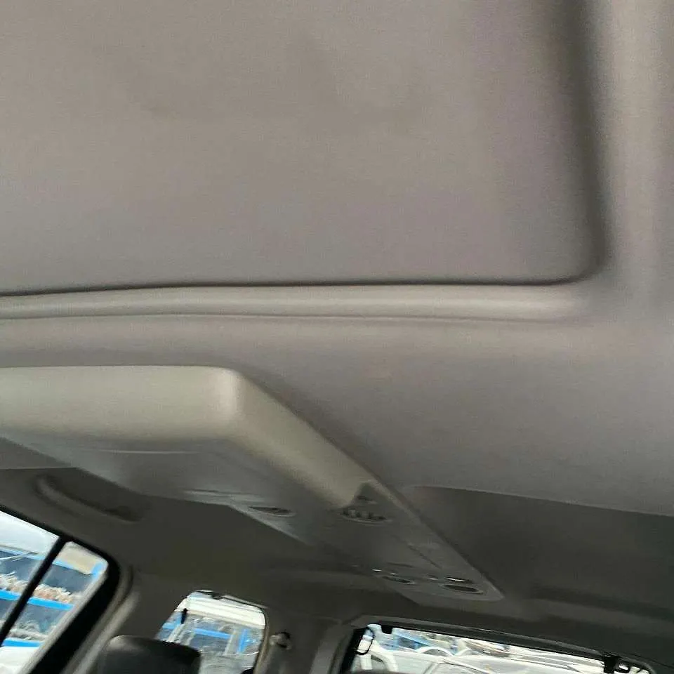 Roof Ceiling - 2010 Infiniti QX56 5.6i