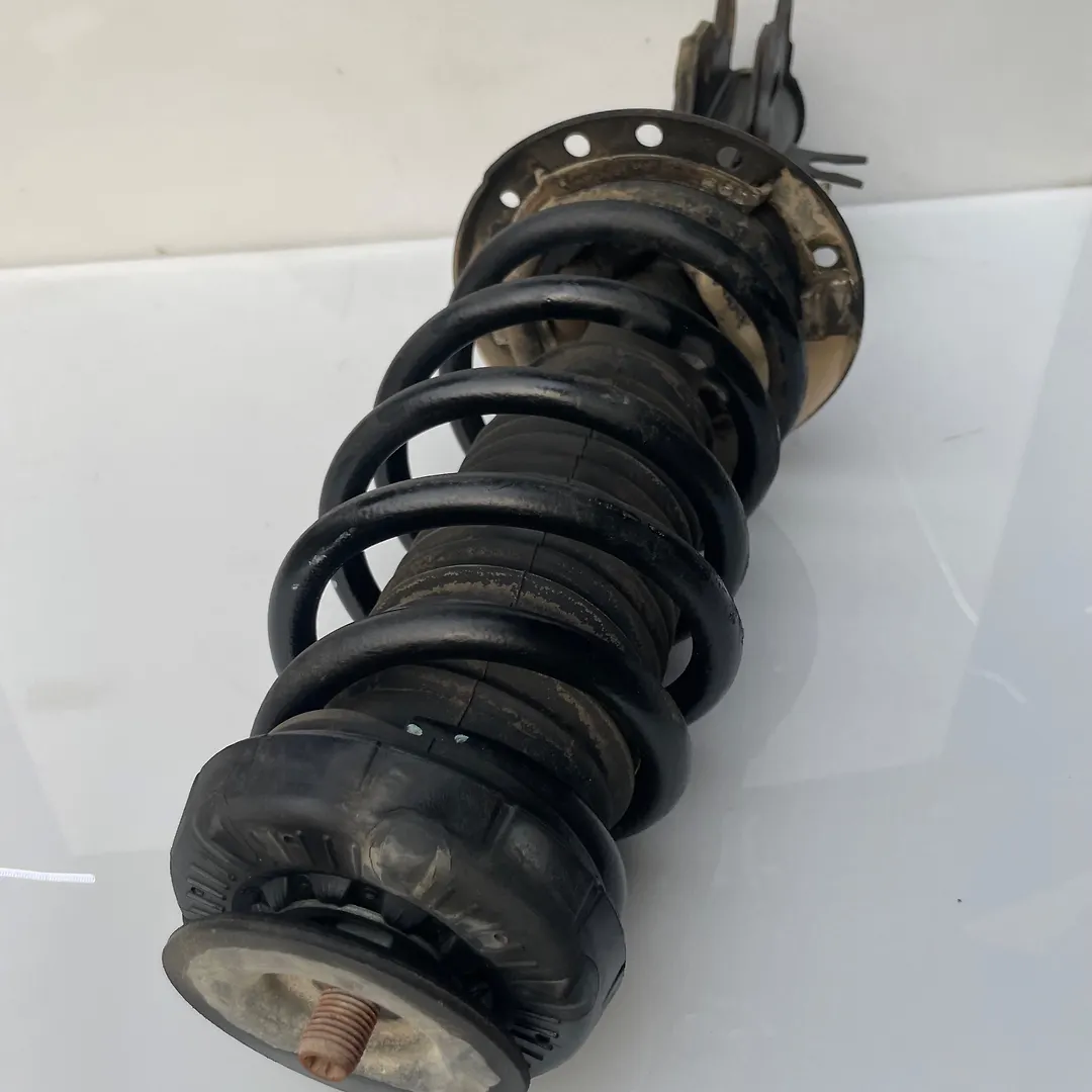 Shock Absorber (LHF) - 2015 Chevrolet Trax