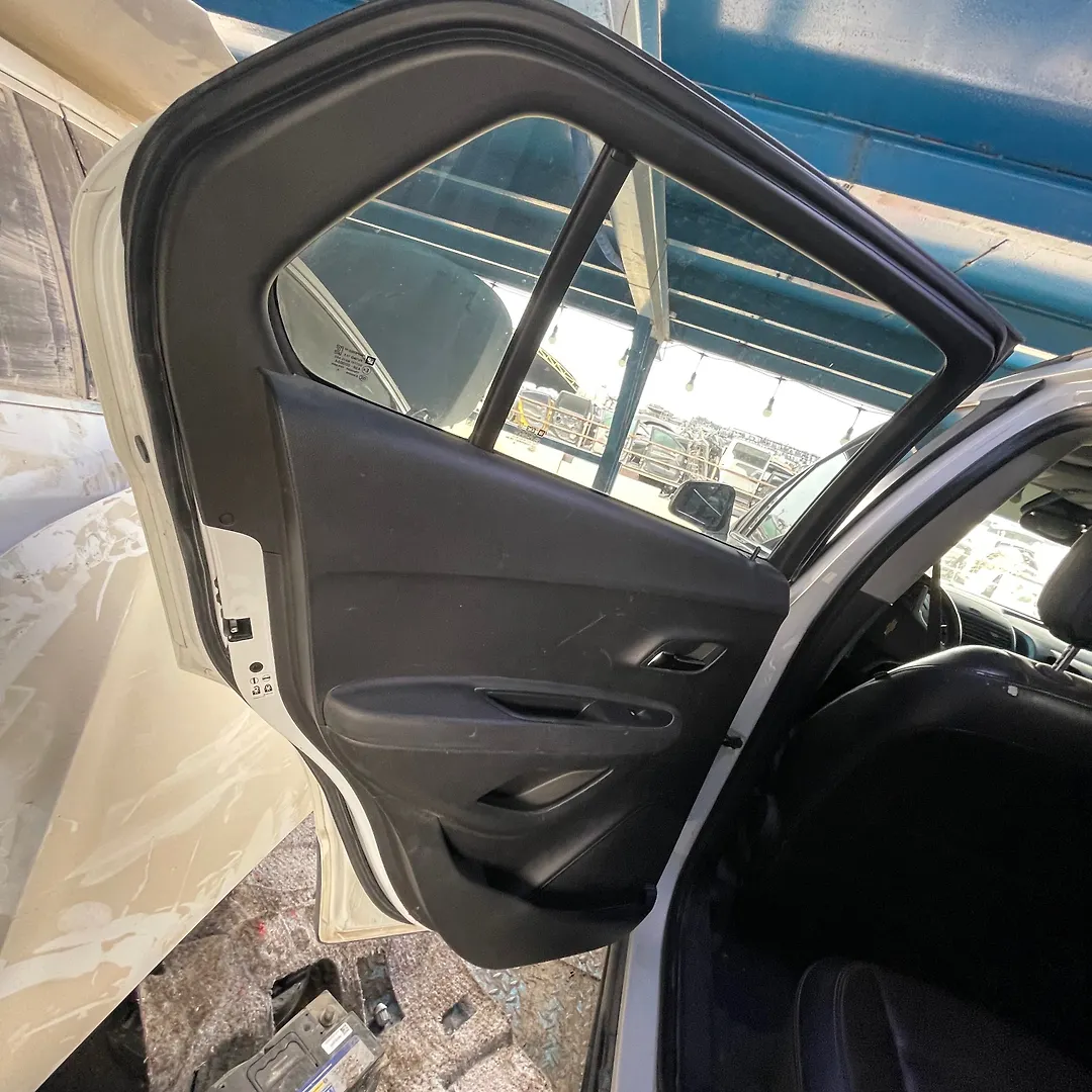 Door (LHB) - 2016 Chevrolet Trax