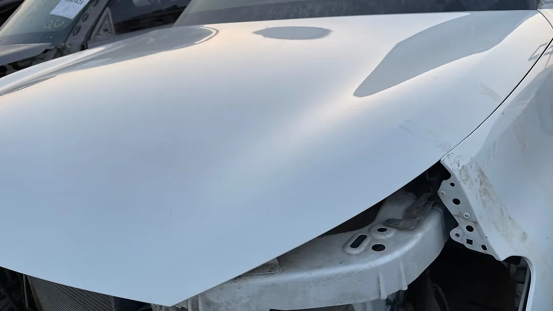 Hood/Bonnet - 2013 Infiniti QX56