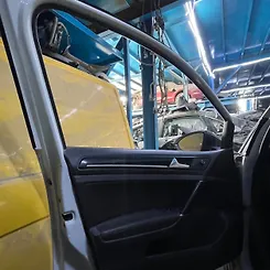 Door (LHF) - 2015 Volkswagen Golf