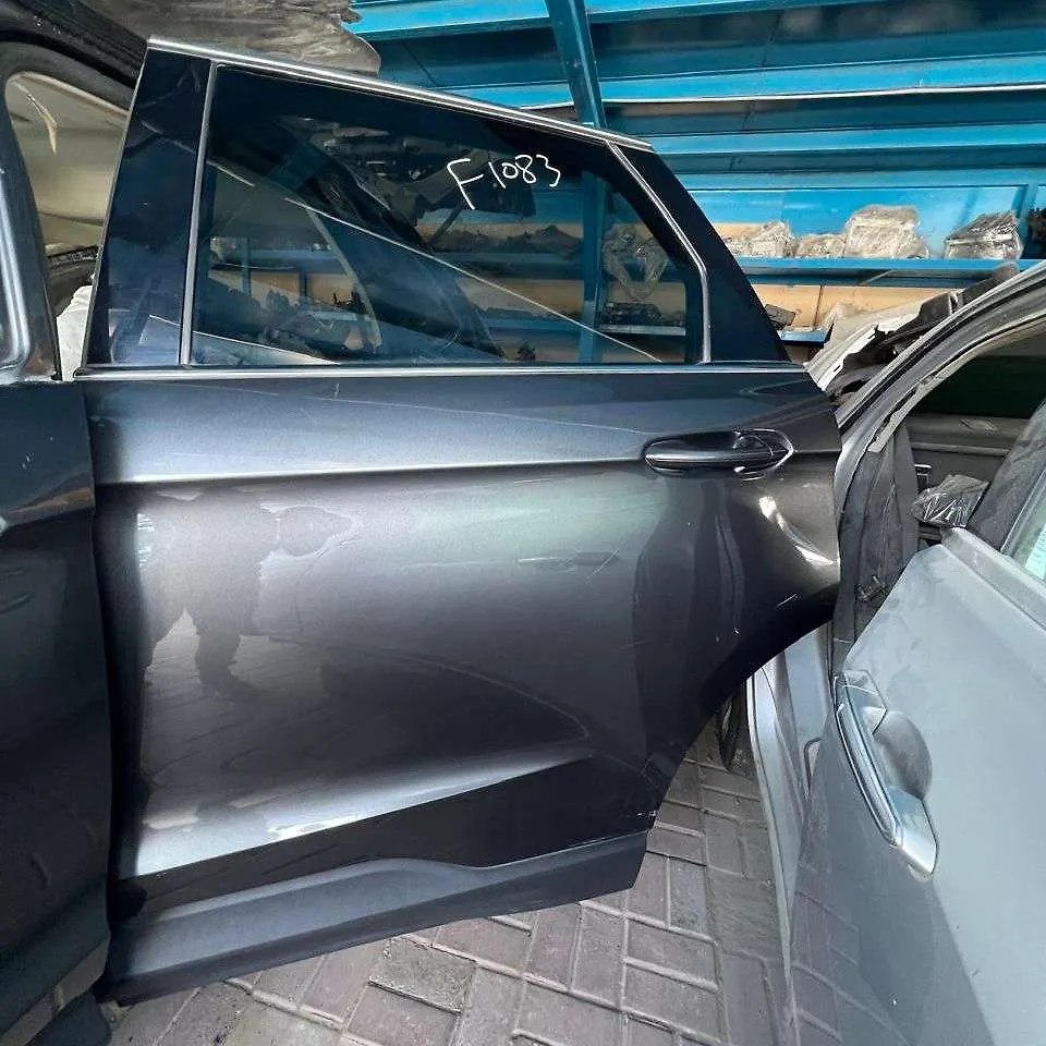 Door (LHB) - 2017 Ford Edge