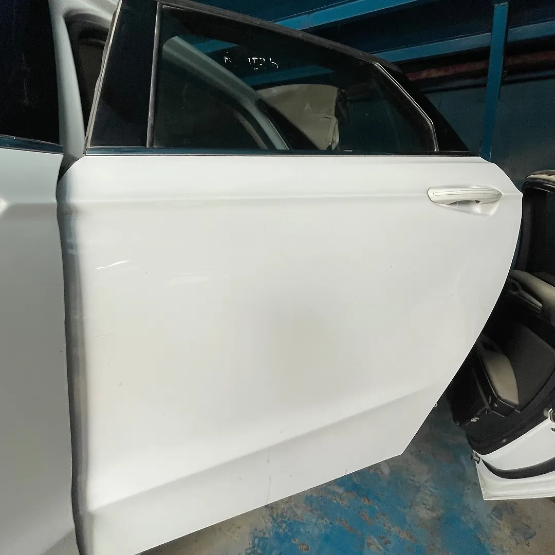 Door (LHB) - 2017 Ford Fusion