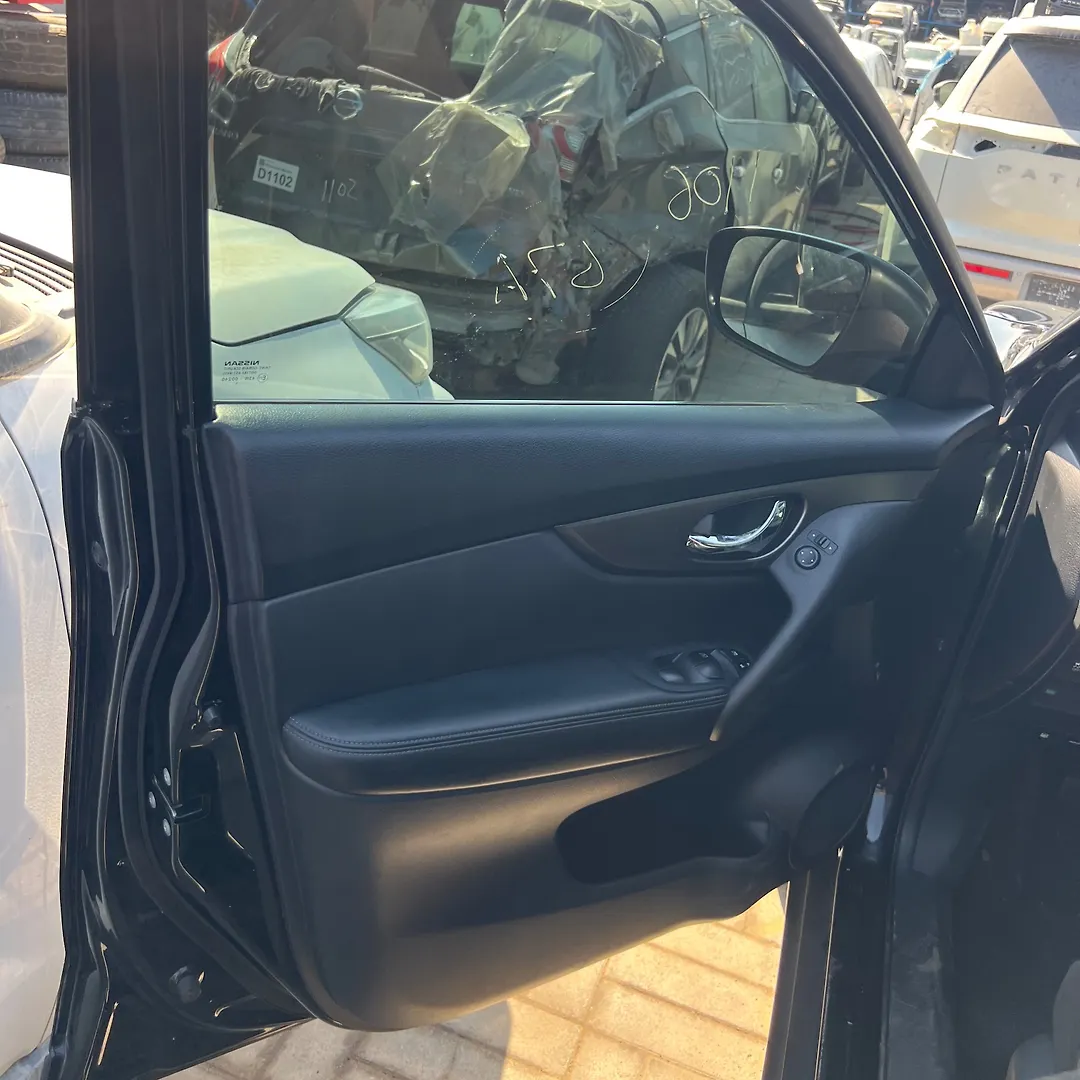 Door (LHF) - 2015 Nissan Rogue