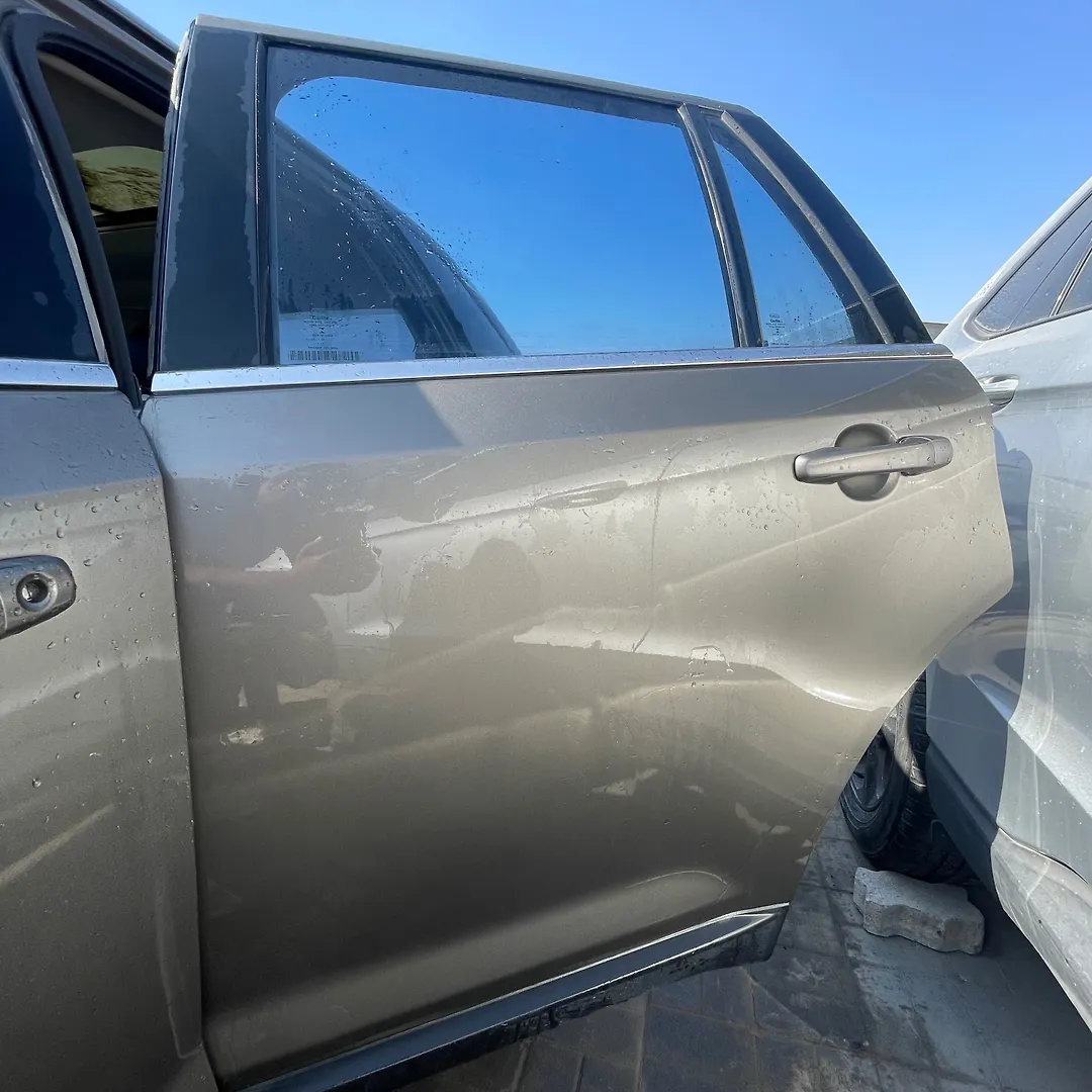 Door (LHB) - 2014 Ford Edge Limited