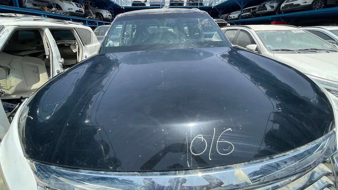 Hood/Bonnet - 2013 Infiniti QX56