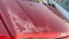Hood/Bonnet - 2009 Jeep Patriot