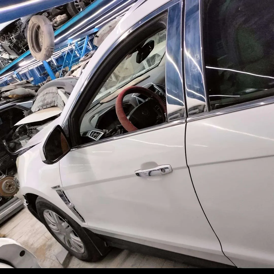 Door (LHF) - 2011 Cadillac SRX