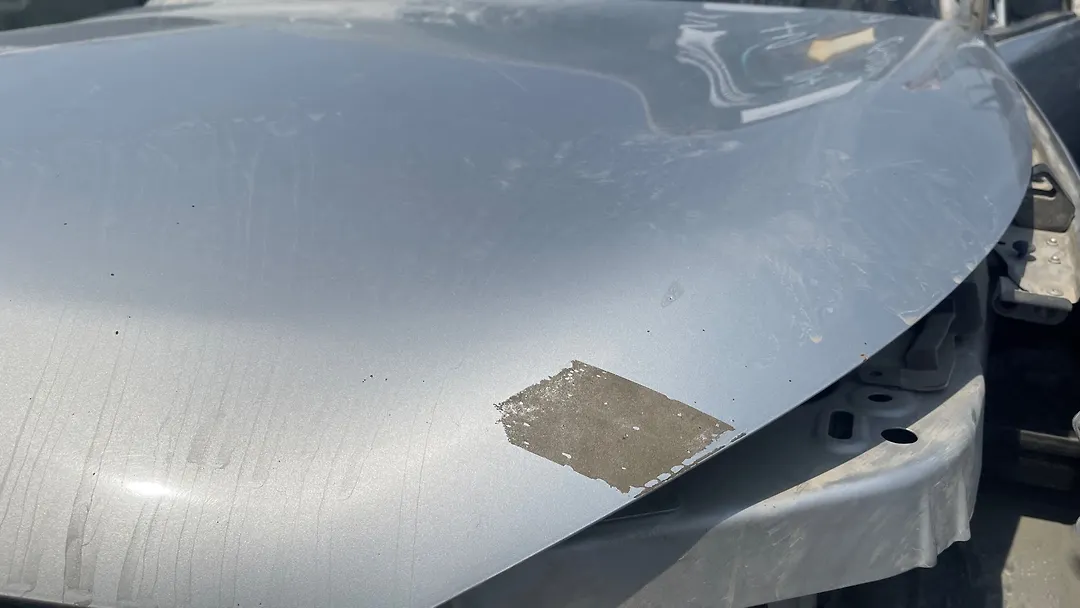 Hood/Bonnet - 2014 Infiniti QX56