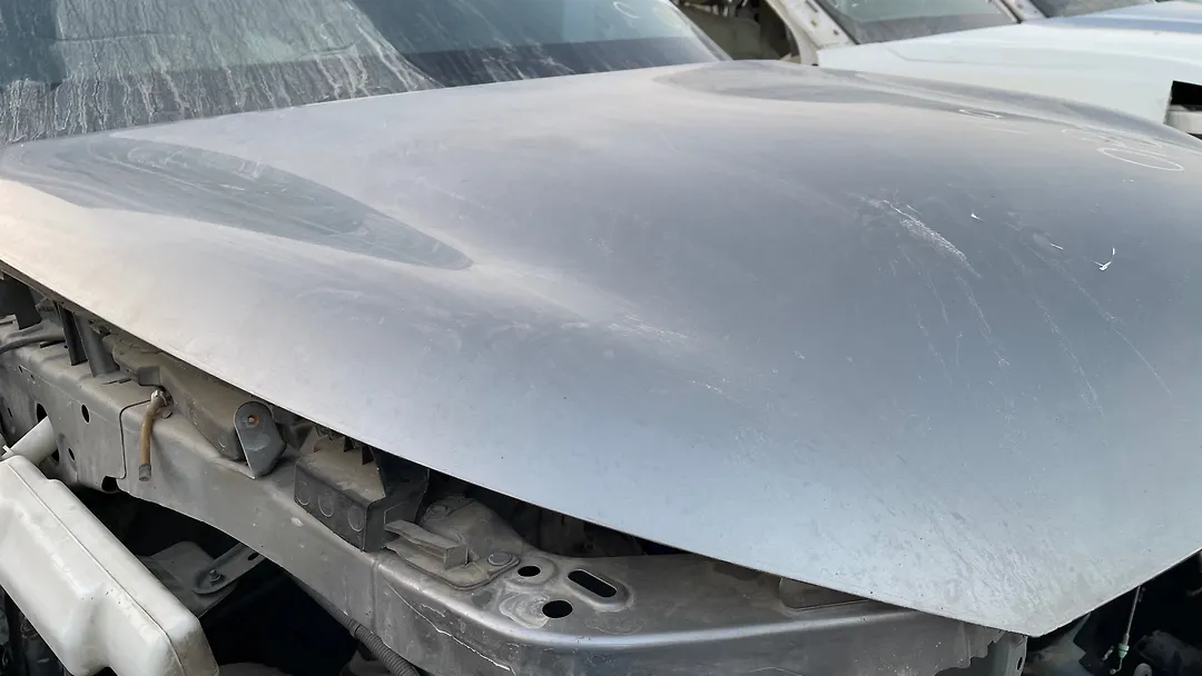 Hood/Bonnet - 2013 Infiniti QX56
