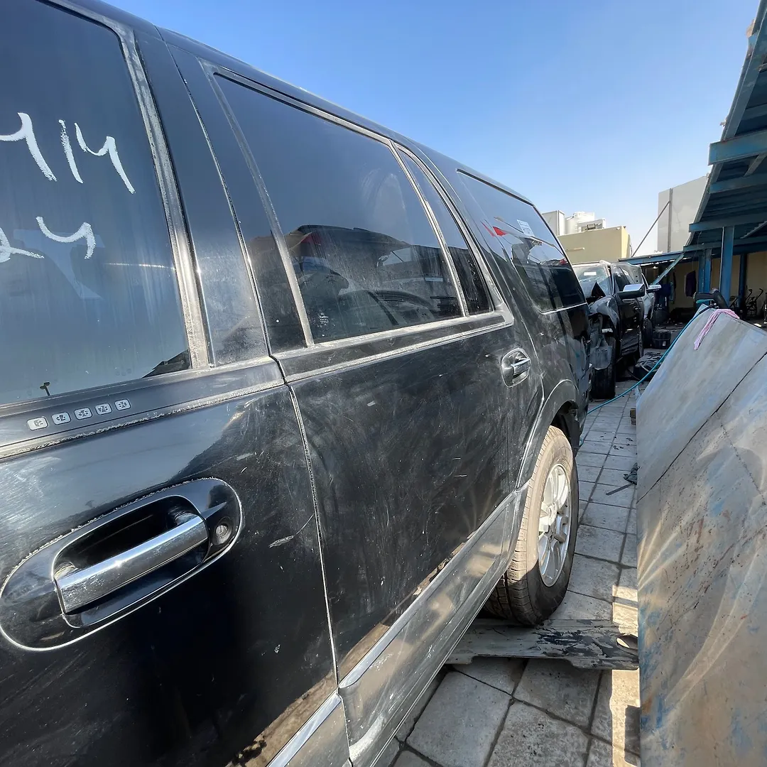 Door (LHB) - 2008 Ford Expedition XLT