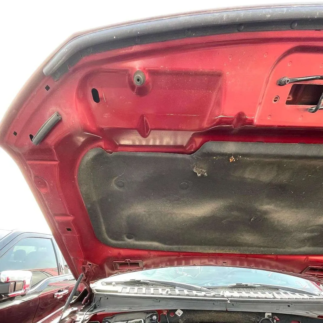 Hood/Bonnet - 2018 Ford Expedition