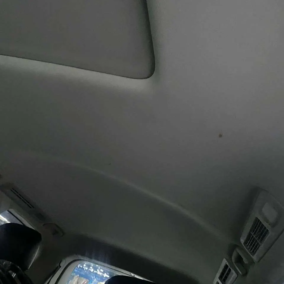 Roof Ceiling - 2011 Infiniti QX56
