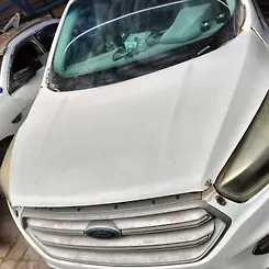 Hood/Bonnet - 2017 Ford Escape
