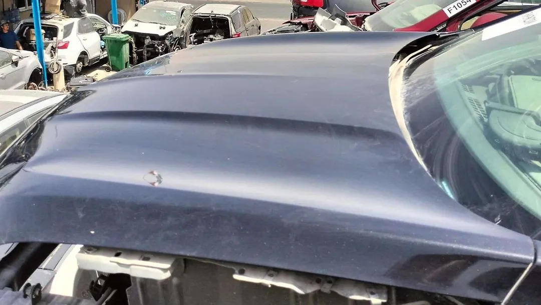 Hood/Bonnet - 2014 Lincoln MKC
