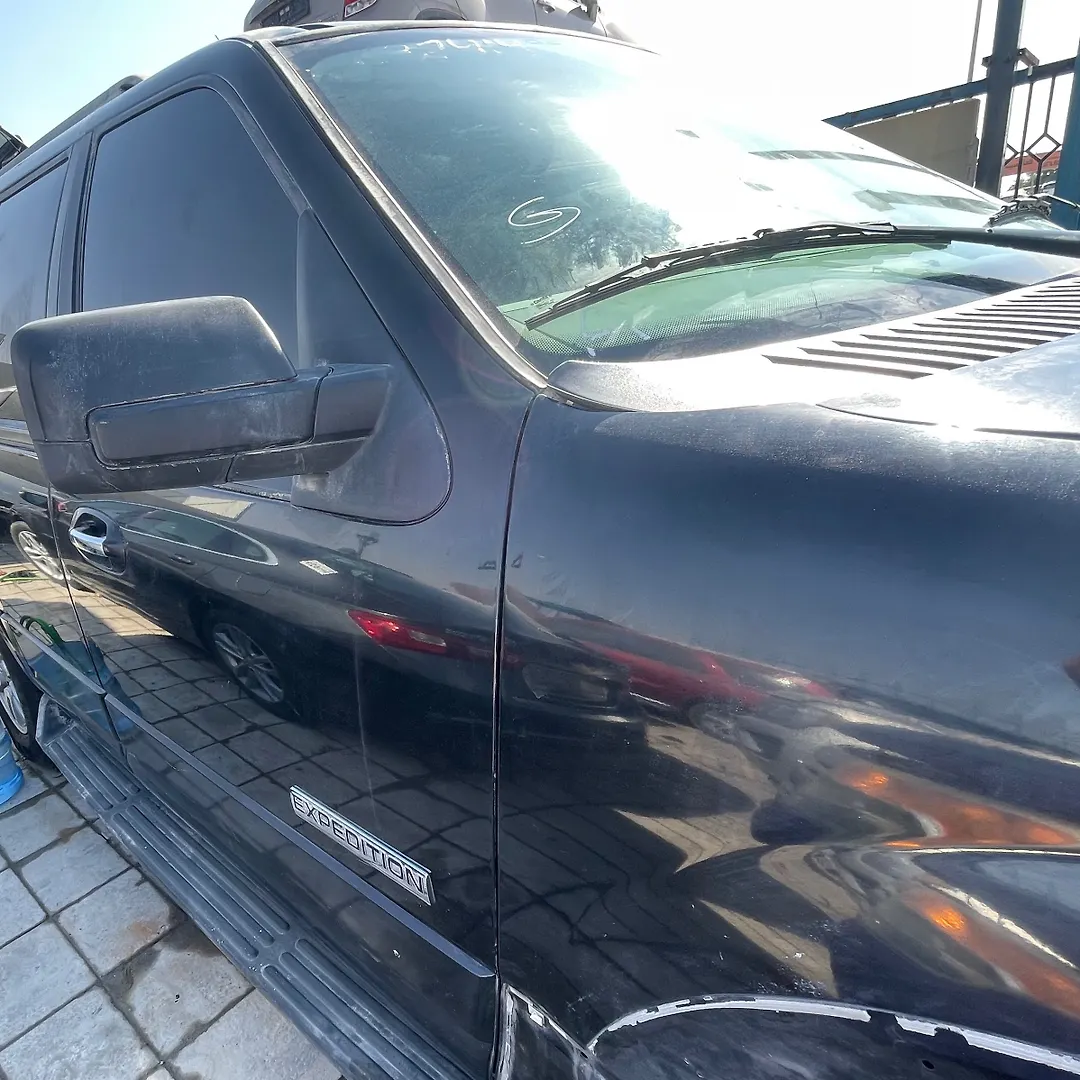 Door (RHF) - 2008 Ford Expedition XLT
