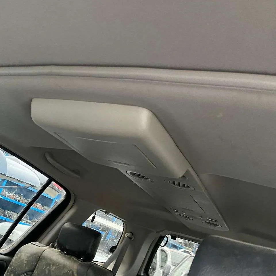 Roof Ceiling - 2010 Infiniti QX56 5.6i