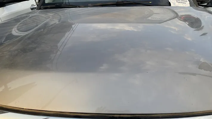Hood/Bonnet - 2011 Infiniti QX56 5.6i