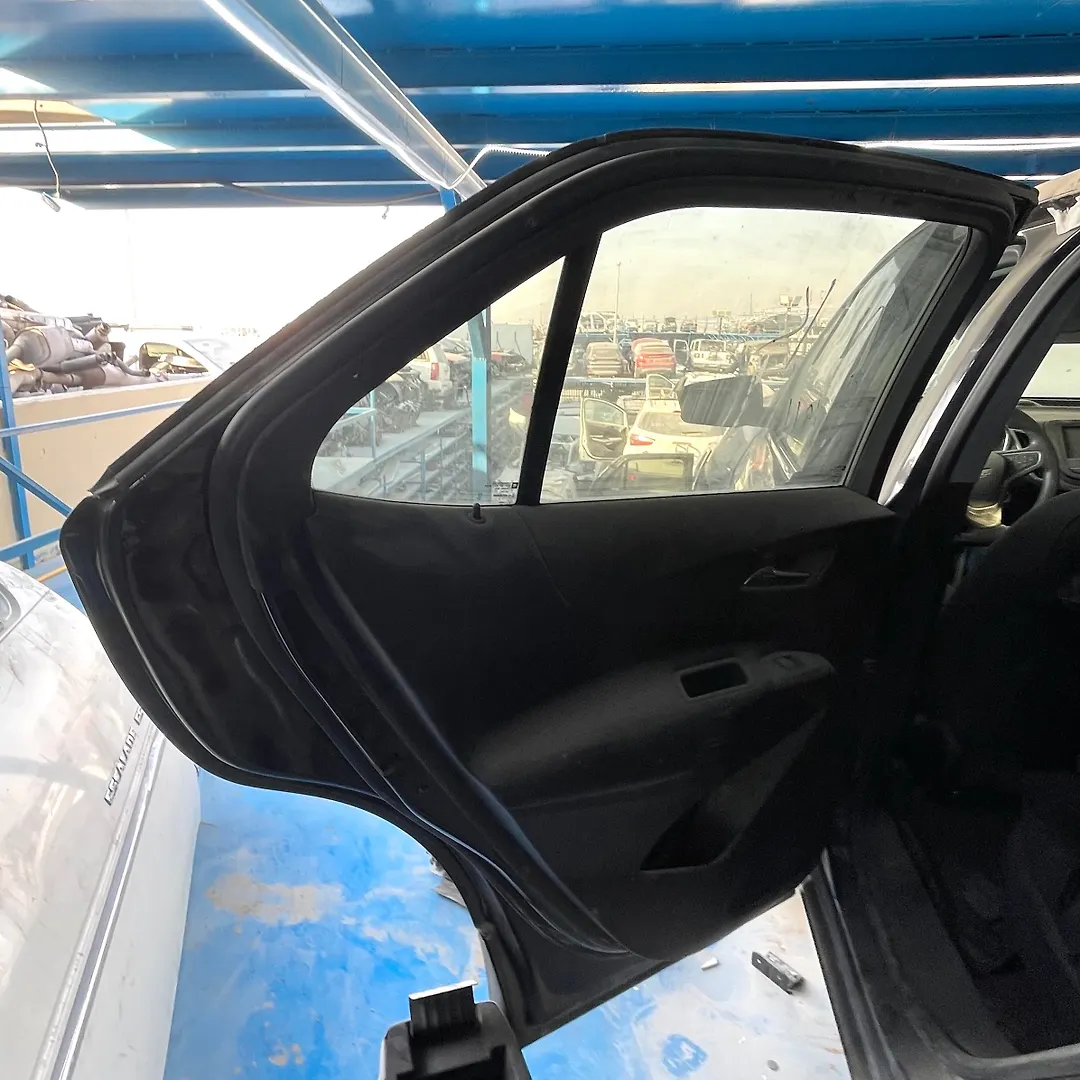 Door (LHB) - 2020 Chevrolet Equinox
