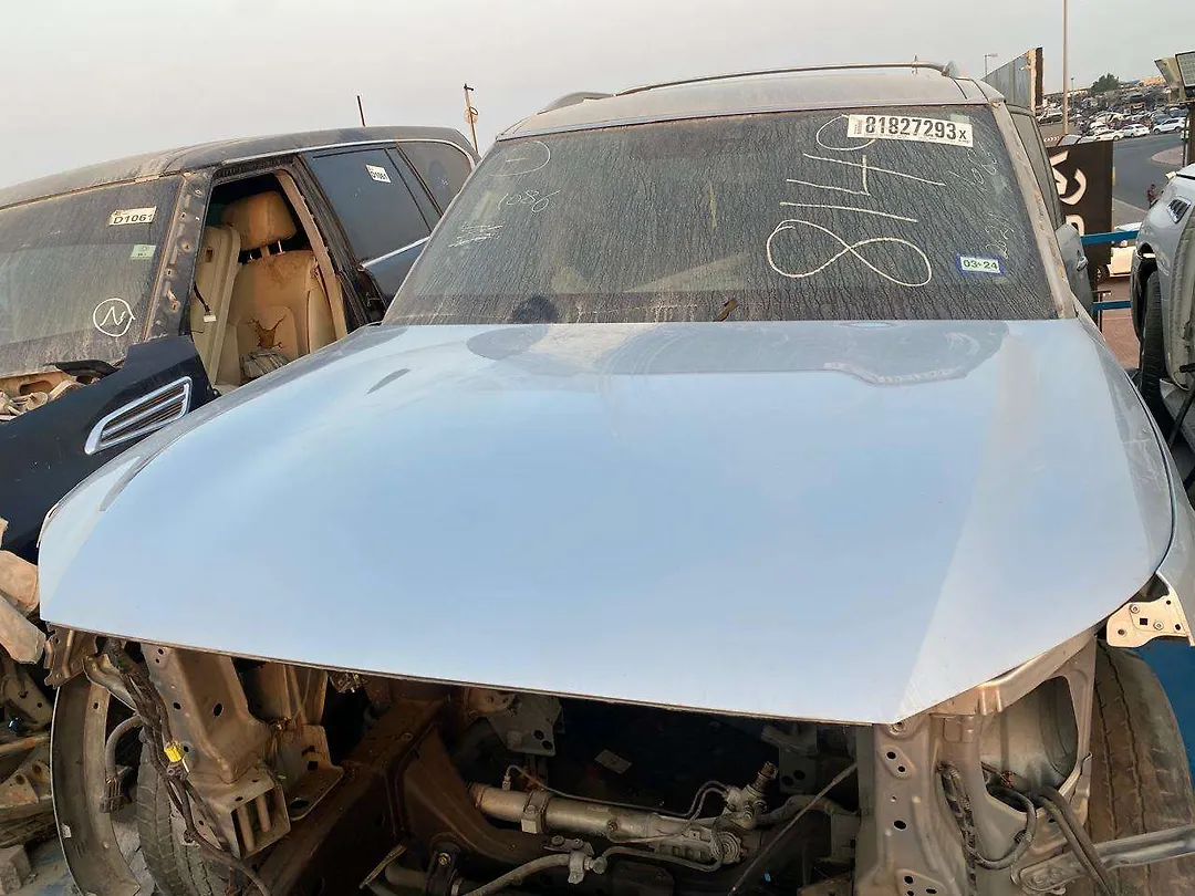 Hood/Bonnet - 2019 Infiniti QX80 Crossover