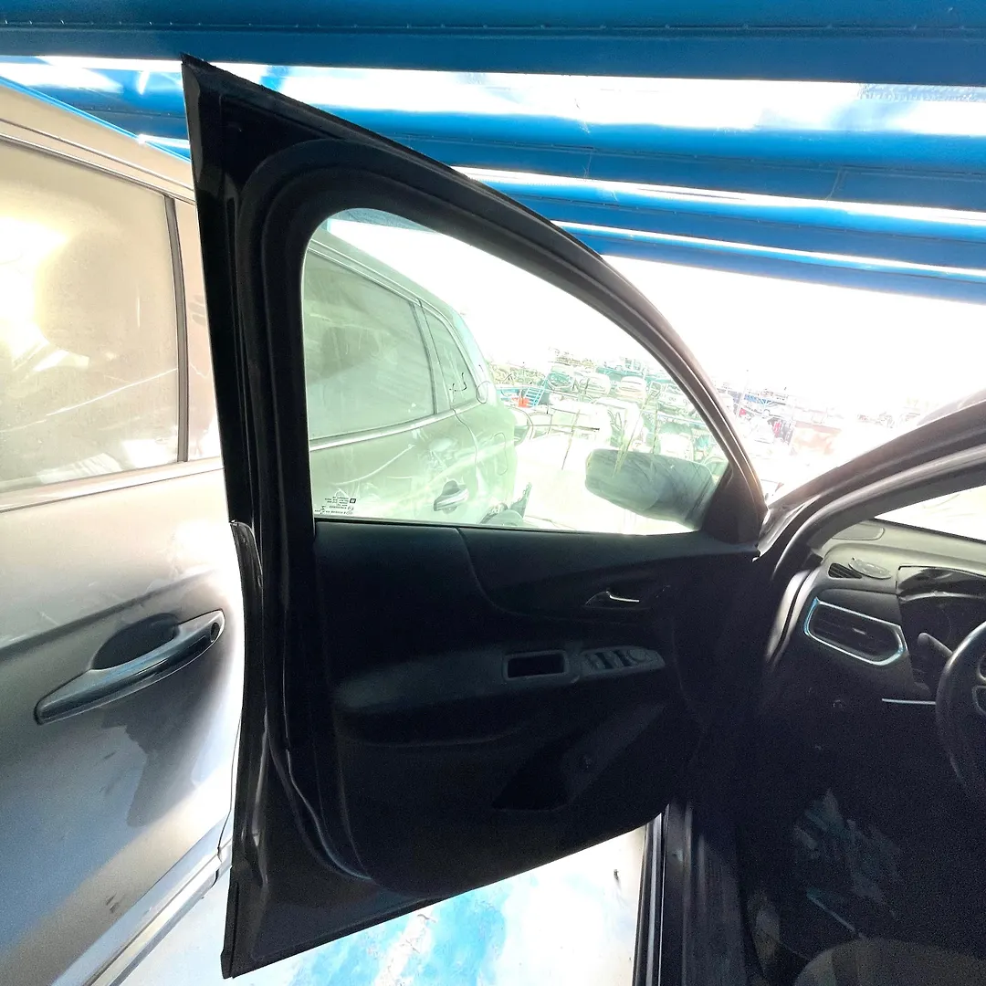 Door (LHF) - 2018 Chevrolet Equinox