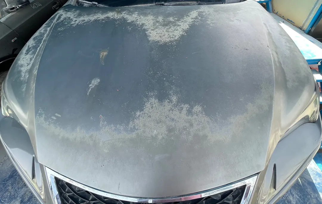 Hood/Bonnet - 2020 Lexus NX300