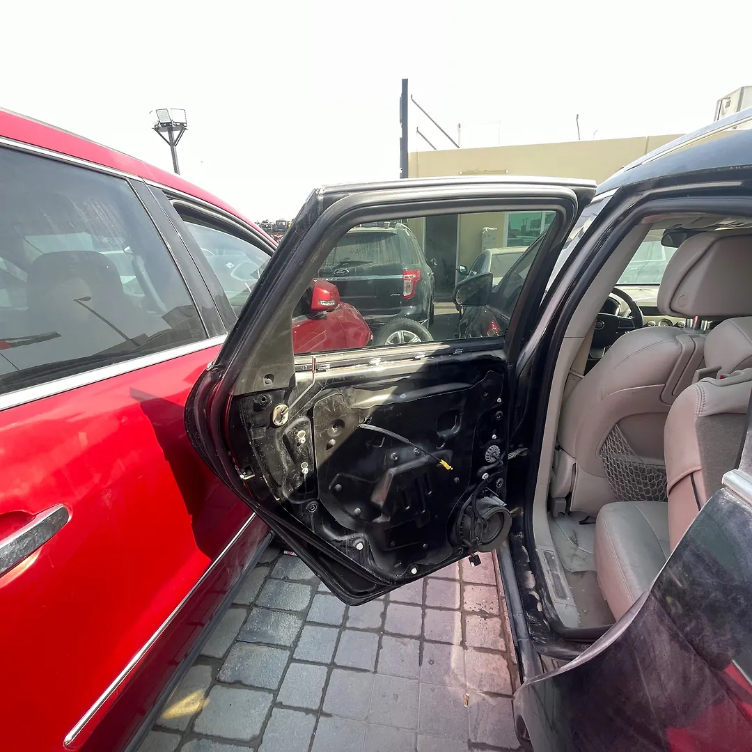 Door (LHB) - 2010 Cadillac SRX Premium