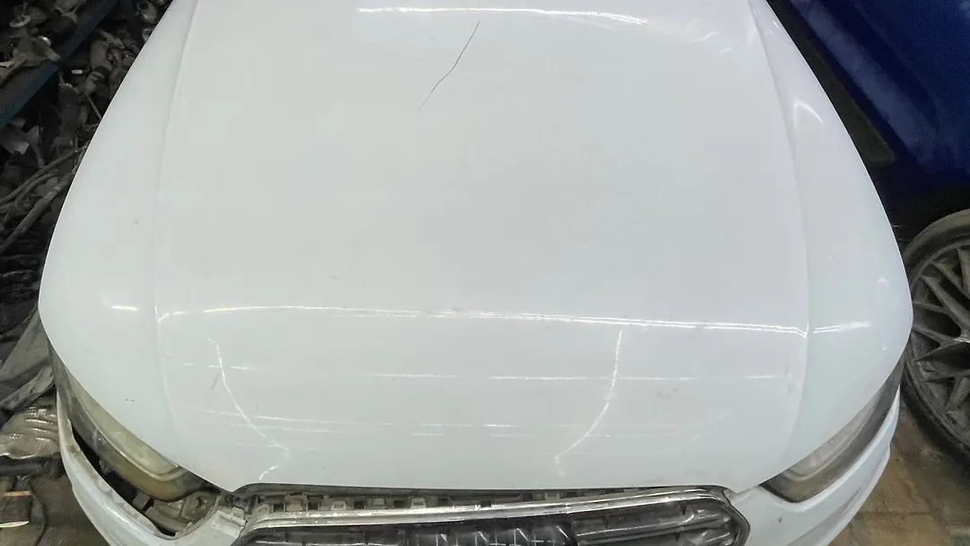 Hood/Bonnet - 2015 Audi A4 Premium quattro