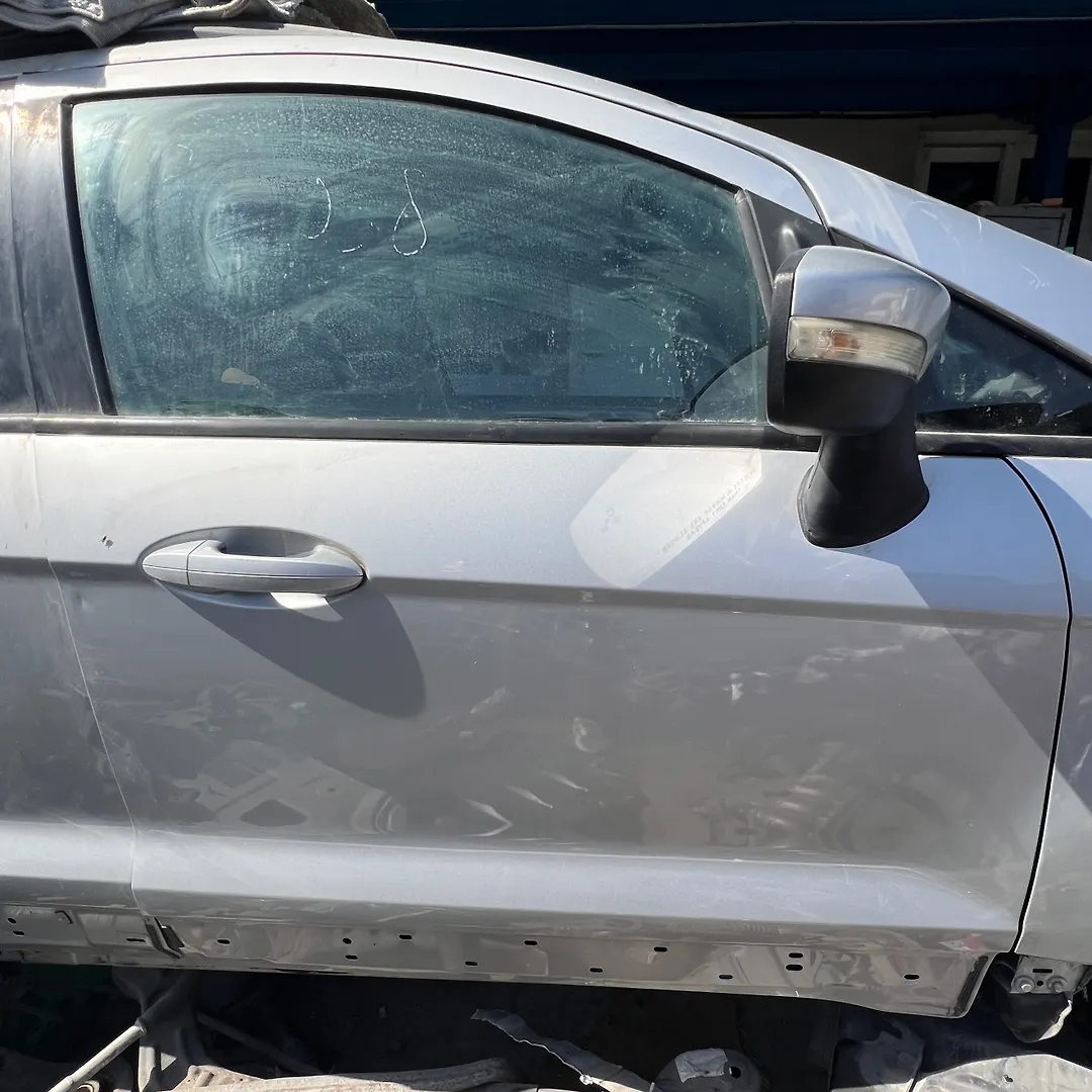 Door (RHF) - 2018 Ford EcoSport
