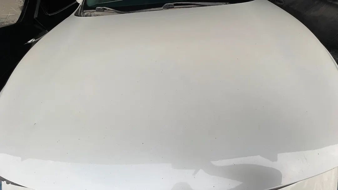 Hood/Bonnet - 2015 Infiniti QX60