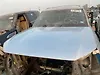 Hood/Bonnet - 2019 Infiniti QX80 Crossover