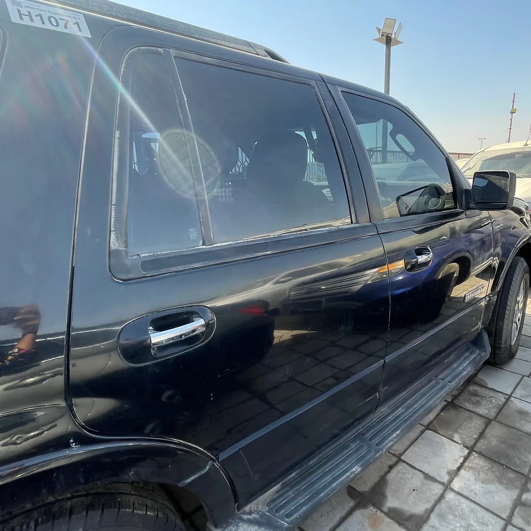 Door (RHB) - 2008 Ford Expedition XLT