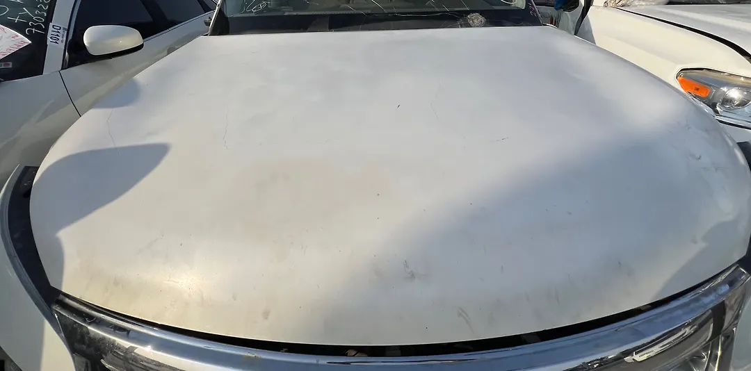 Hood/Bonnet - 2013 Infiniti QX56