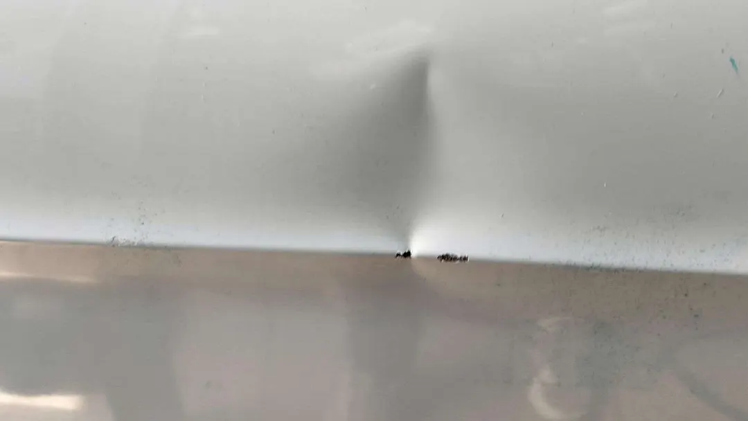 Door (LHF) - 2017 Ford Escape