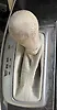 Gear Shift Knob(Automatic) - 2014 Infiniti QX60