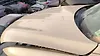 Hood/Bonnet - 2016 Lincoln MKX