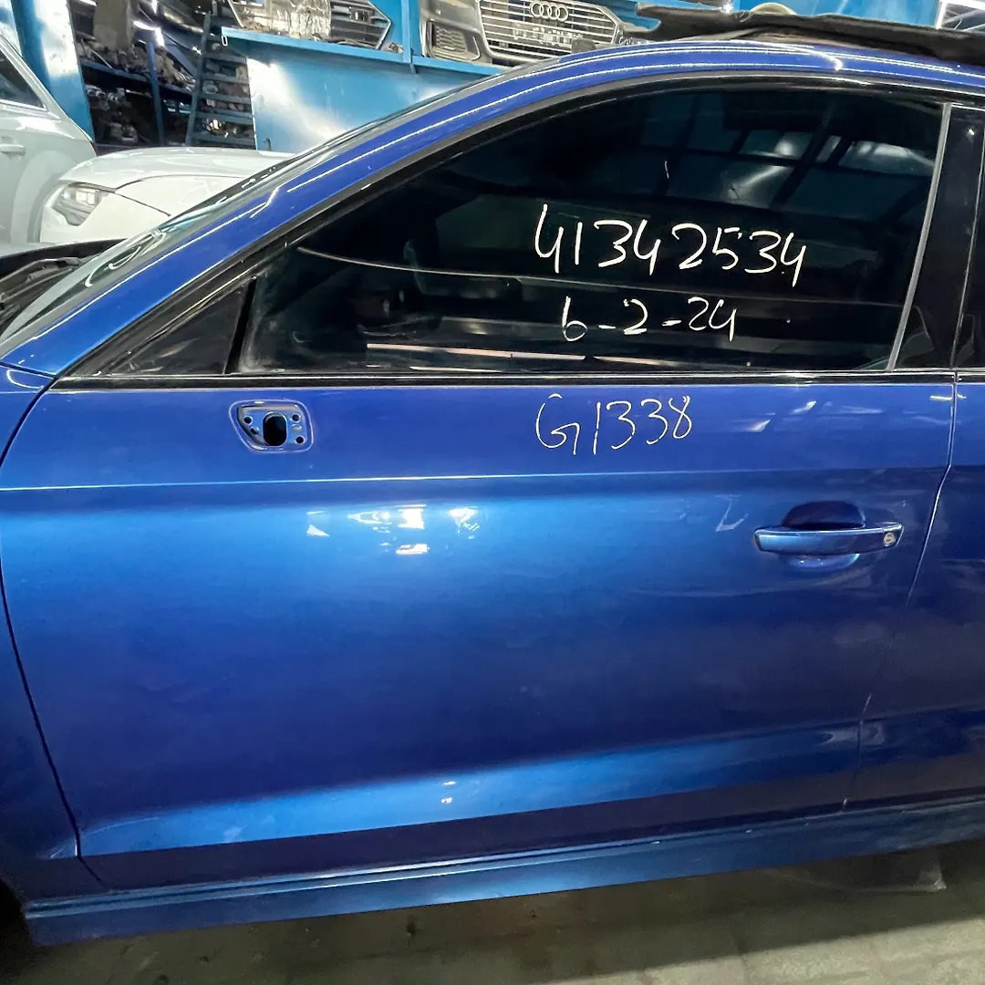 Door (LHF) - 2016 Audi S3