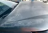 Hood/Bonnet - 2020 Lexus NX300