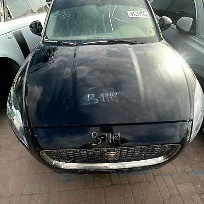 Hood/Bonnet - 2020 Jaguar E-Pace
