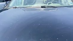 Hood/Bonnet - 2013 Nissan Pathfinder