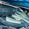 Windshield glass - 2012 Nissan Murano