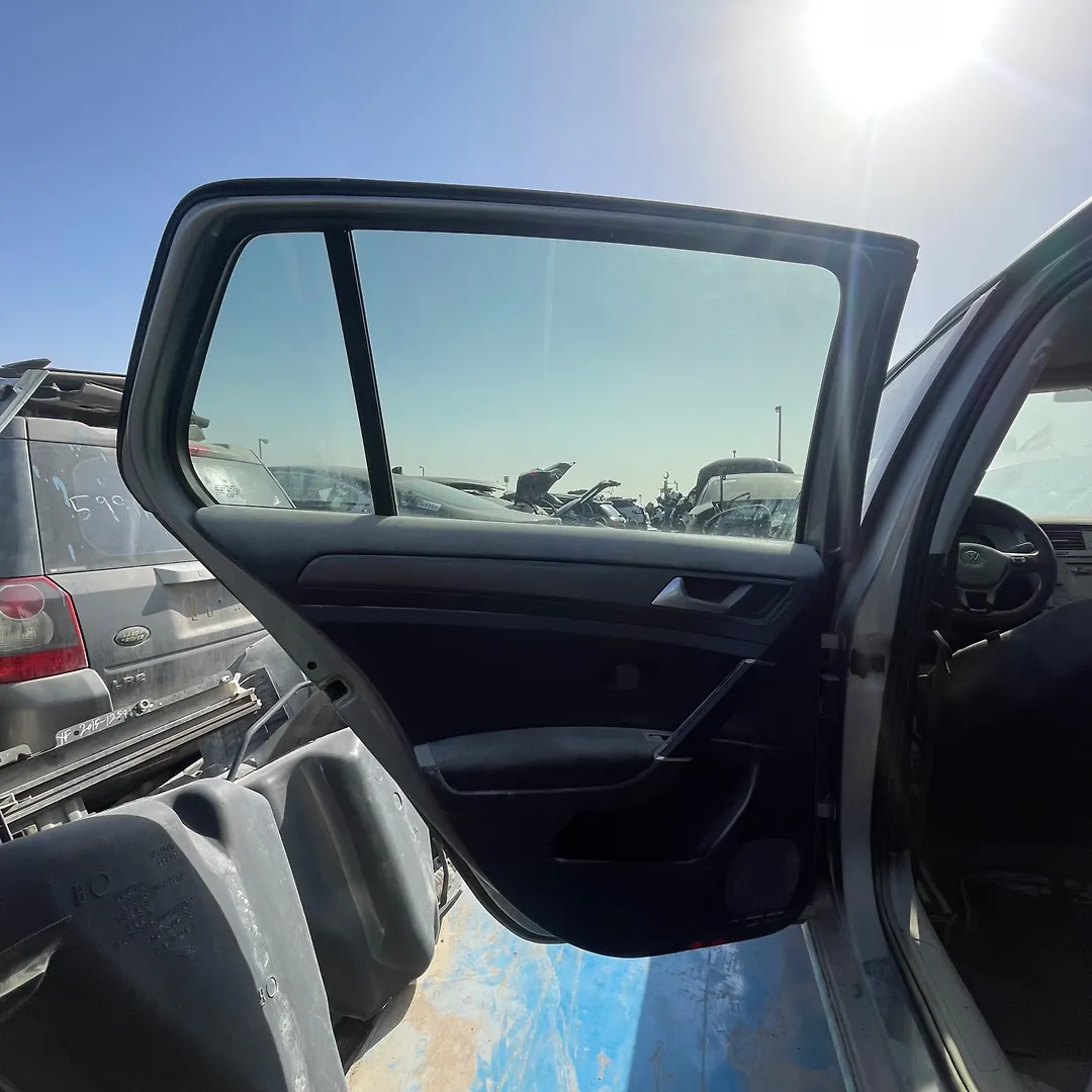 Door (LHB) - 2018 Volkswagen Golf