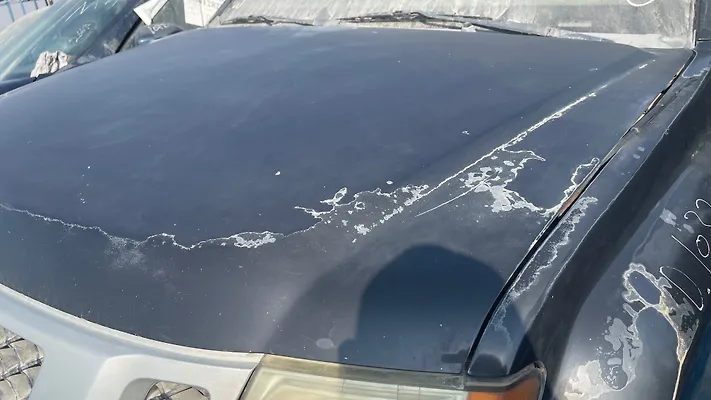 Hood/Bonnet - 2008 Nissan Xterra