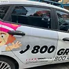 Door (RHB) - 2014 Ford Fiesta