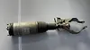 Shock Absorber (RHF) - 2016 Land Rover RANGE ROVER SPORT