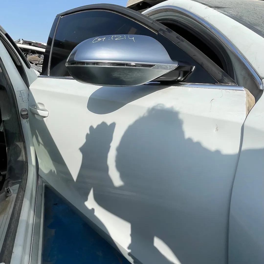 Door (RHF) - 2014 Audi S8