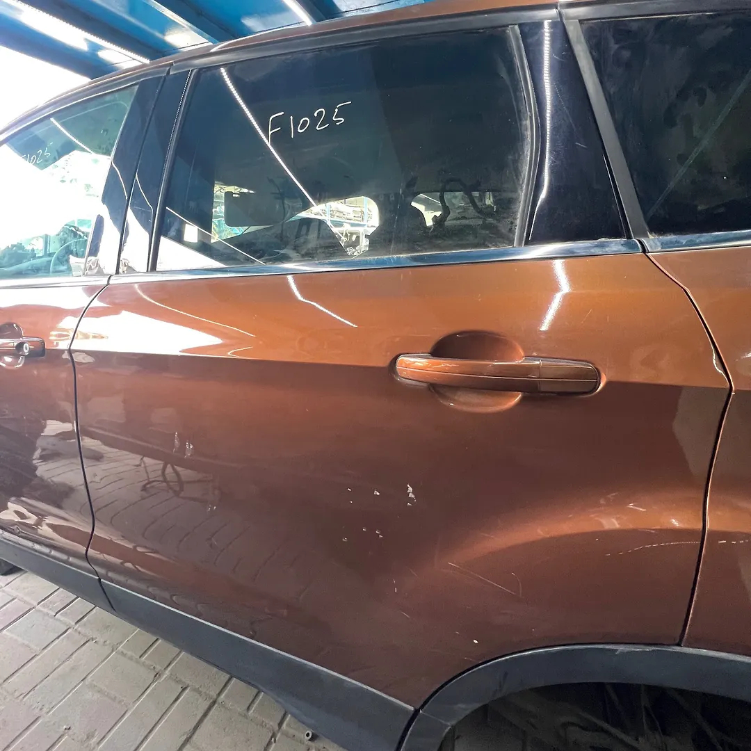 Door (LHB) - 2017 Ford Escape