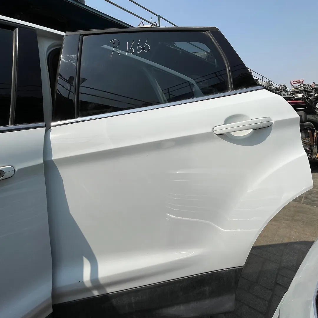 Door (LHB) - 2019 Ford Escape